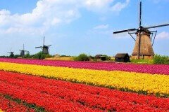 Нидерланды, Голландия